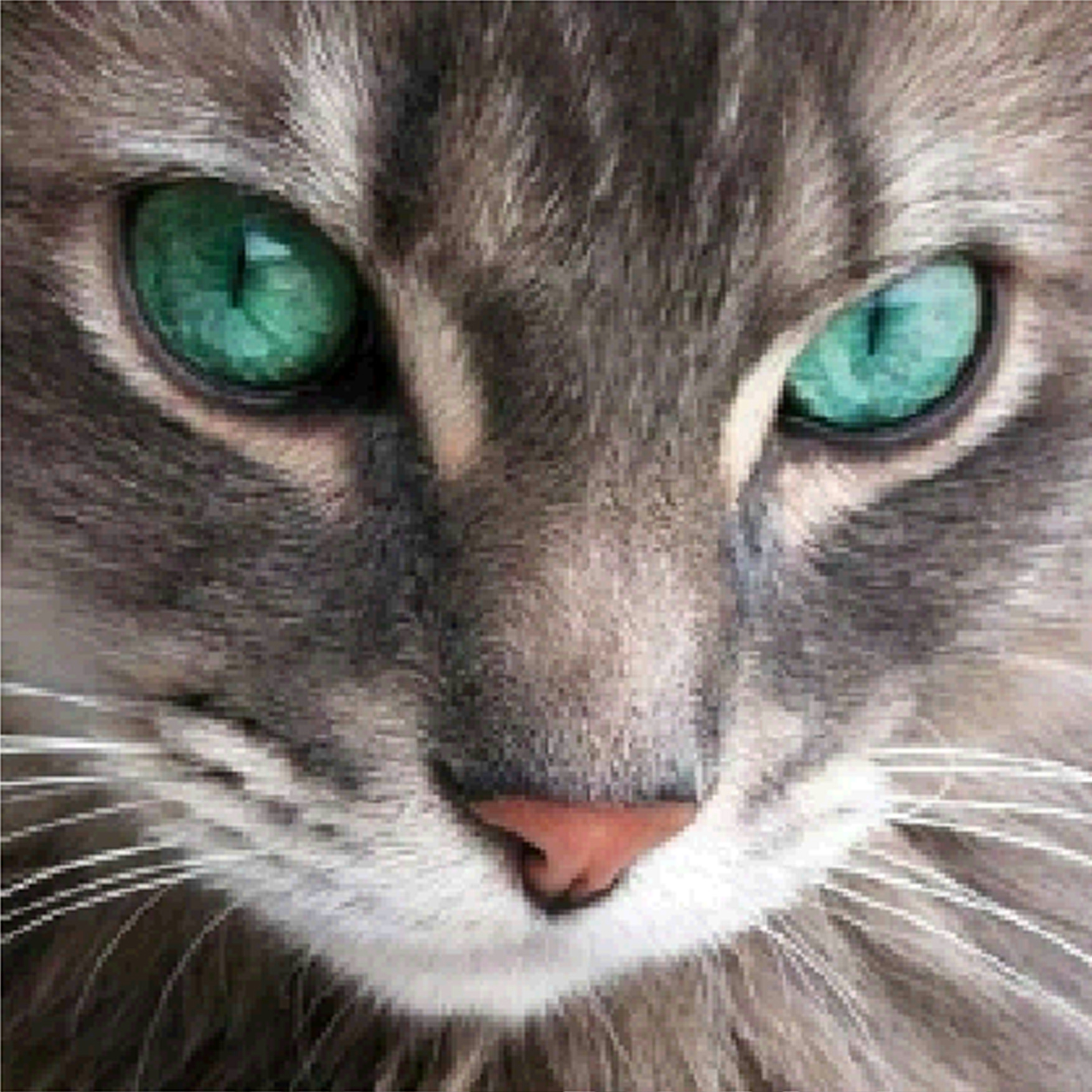 Tiere